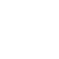 Concept Development and Script Writing