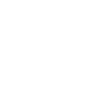 Motion Graphics and Animation